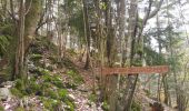 Trail Walking Brénod - 01-Chartreuse de Meyriay - Brenod - Photo 7