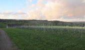 Randonnée Vélo de route Aubel - Tour des vignes de la coopérative Vin du Pays de Herve - Photo 3