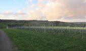Trail Walking Aubel - Tour pédestre (complet) des vignes du vin du pays de Herve - Photo 6