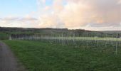 Excursión Bici de carretera Aubel - Tour des vignes de la coopérative Vin du Pays de Herve - Photo 3