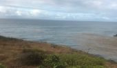 Trail Nordic walking Sainte-Anne - Fond grand ma  modette le littoral  - Photo 13