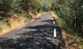 Tocht Mountainbike Gassin - Saint-Tropez - Rayol Canadel sur mer  - Photo 10