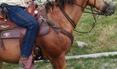 Trail Horseback riding Plainfaing - Acpl plainfaing le groube  - Photo 2
