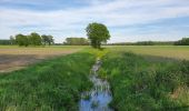 Trail On foot Kalbe - Rund um Heidenau-Kalbe Wanderweg - Photo 5