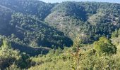 Trail Walking Allauch - La Paloire Rando Tamalous - Photo 7