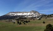 Trail Walking Chichilianne - tete de chevaliere - Photo 1