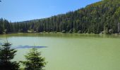 Trail Walking Orbey - Circuit des 2 lacs : lac du Forlet et lac Vert - Photo 20