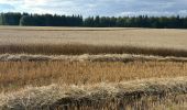 Randonnée A pied Gomadingen - Traufgang Wiesenrunde - Photo 8