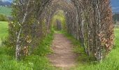 Randonnée  Stoumont - Promenade du Roftier - Photo 1