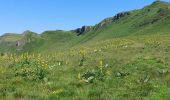 Tocht Stappen Le Falgoux - Franconèche- Gr400-chemin des Italiens bis - Photo 20