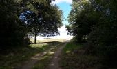 Trail Walking Yvoir - De Durnal au Bocq - Photo 3