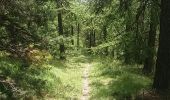 Trail Walking Puy-Saint-Eusèbe - testt - Photo 1