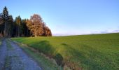 Trail On foot Konradsreuth - Rundwanderweg 1 Oberkotzau - Photo 5