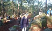 Trail Walking Fontainebleau - rocher d'Avon 13 janvier 2023  - Photo 8