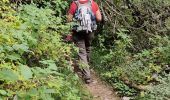 Trail Walking Chaudeyrolles - Chaudeyrolles Mont Signons 06-09-2020 - Photo 17