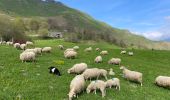 Tour Wandern Lescun - Belvédère de Lescun - Photo 2