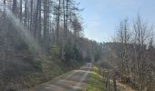 Tour Wandern Simmerath - A la découverte de Lammersdorf 🥾 - Photo 10