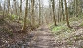 Trail On foot Leeds - The Fly Line - Photo 5