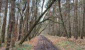 Tocht Stappen Belœil - Stambruges, Beloeil, les Ecacheries, mer de sable, Stambruges - Photo 10