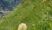 Excursión Senderismo Pralognan-la-Vanoise - Rocher de Villeneuve - Photo 4