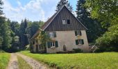 Tocht Stappen Sainte-Croix-aux-Mines - Le Hury par le Petit-Haut - Photo 15