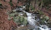 Tocht Stappen Jalhay - pont de Belheid - Photo 4