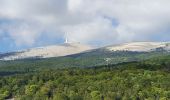 Tour Wandern Bédoin - Melettes & Frâche - Photo 6