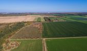 Tocht Te voet Kerpen - Kerpen Rundweg K1 - Photo 1