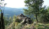 Tour Zu Fuß Bad Tabarz - Tabarz - Felsental - Großer Inselberg (Gelbes Quadrat) - Photo 4