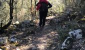 Randonnée Marche Arles-sur-Tech - Col de Paracols depuis Arles sur Tech - Photo 2