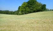 Trail Walking Chaumont-Gistoux - #200330 - Gistoux, Inchebroux, Champ des Goffes*** - Photo 3