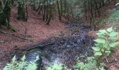 Tour Wandern La Bourboule - Charlannes par Fohet retour sur parc fenestre par descente sous ancien funiculaire 2019-07-02 - Photo 4