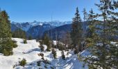 Randonnée Raquettes à neige Fillière - CREPON DE  MONTOULIVERT - Photo 3