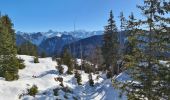Percorso Racchette da neve Fillière - CREPON DE  MONTOULIVERT - Photo 3