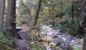 Tour Wandern Jalhay - Vallée de la Hoëgne  - Photo 18