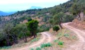 Tour Wandern Pierrefeu-du-Var - SityTrail - cabane des gardes-Pierrefeu-25-02-22 - Photo 13