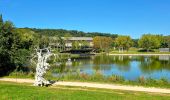 Tocht Stappen Versailles - 20240828_100557 - Photo 10