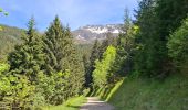 Trail Walking Les Adrets - LE GROS CAILLOU PAR LA COLONIE - Photo 4