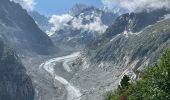 Tocht Stappen Chamonix-Mont-Blanc - Chamonix : Montenvers-Aiguille du Midi - Photo 14