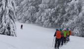 Randonnée Ski de randonnée Saint-Christophe-sur-Guiers - la morte - Photo 10