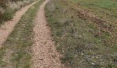 Trail Walking Rognac - Vallon de Mion  - Photo 5