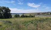 Tour Wandern Saint-Jouan-des-Guérets - Saint Jouan des Guerets  - Photo 3