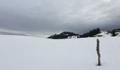 Excursión Raquetas de nieve Divonne-les-Bains - La Dole alt 1676m en raquette - Photo 14