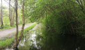 Trail Mountain bike Caen - sortie dans les marais de vimont  - Photo 4