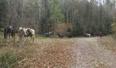 Tour Reiten Haut-du-Them-Château-Lambert - camping pat ballon servance  - Photo 4