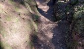 Tour Wandern Angomont - Col de la Chapelotte Sentier de Mémoite - Photo 4