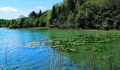 Excursión A pie Le Frasnois - Les 4 lacs   - Photo 6