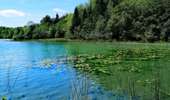 Trail On foot Le Frasnois - Les 4 lacs   - Photo 6