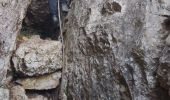 Trail Walking Ollioules - Destel azur  - Photo 5