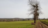 Tour Wandern Aywaille - 2021-02-21_16h28m36_1382 - Photo 4